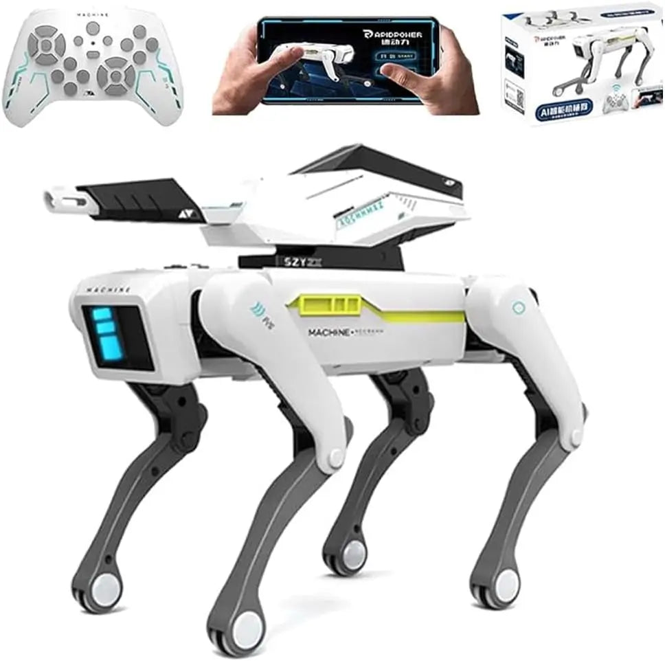 Robot télécommandé pour Enfants de 3 à 12 Ans – gris/noir