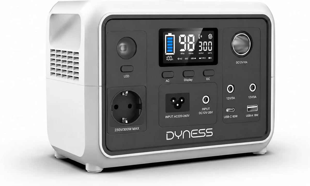 Dyness 300W Generateur Electrique portable – 256 Wh, gris